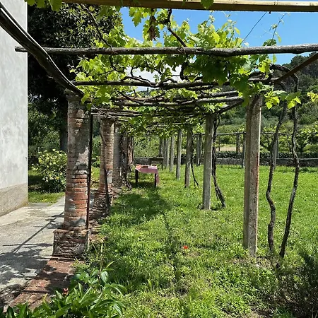 Casa Di Campagna Coselli 펜션